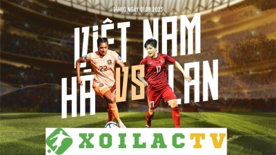 Xoilactv xem bóng đá không quảng cáo,chất lượng hình ảnh chân thật xoilac.art